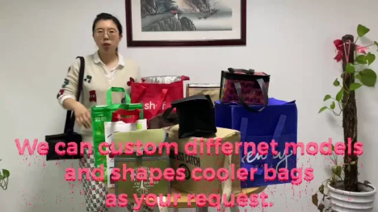 Индивидуальные 6 упаковок термосумок-холодильников для обеда с изоляцией из нетканого материала оптом в Китае